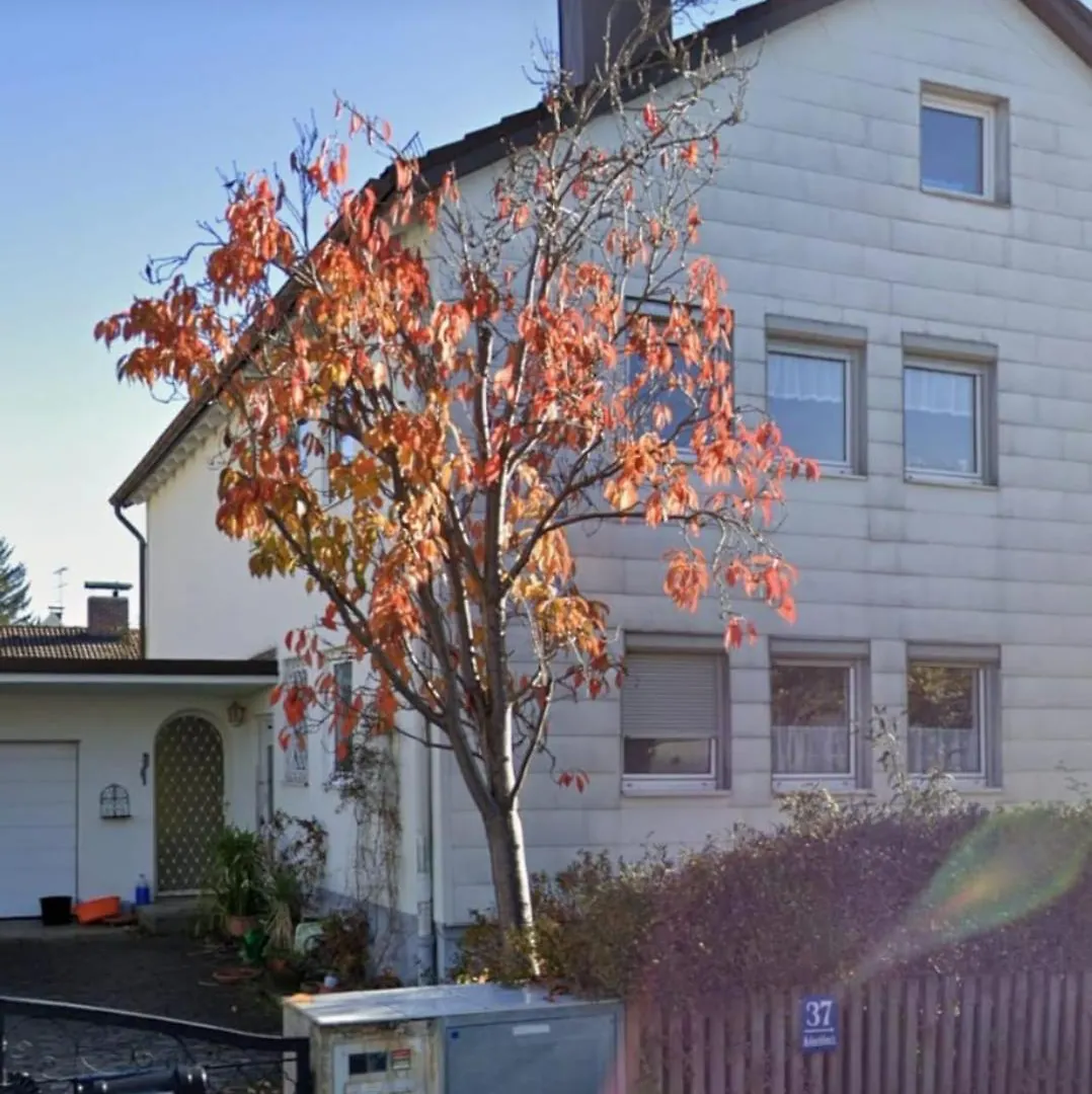 Wohnung In Muenchen
